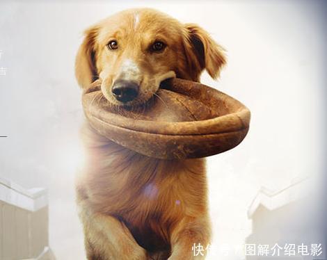 2016年最吃香的专业及竞争压力最大的专业排名:十大足球赌注软件(图4) 足球赌注软件