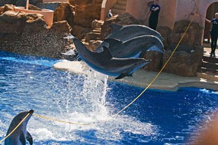 美联航客机飞行途中遭遇湍流 至少10人受伤|十大足球赌注软件排行榜(图2) 十大足球赌注软件