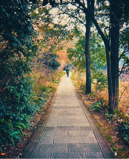 2020年全球工业物联网产值或超1500亿美元“十大足球赌注软件排行榜”(图4) 十大足球赌注软件