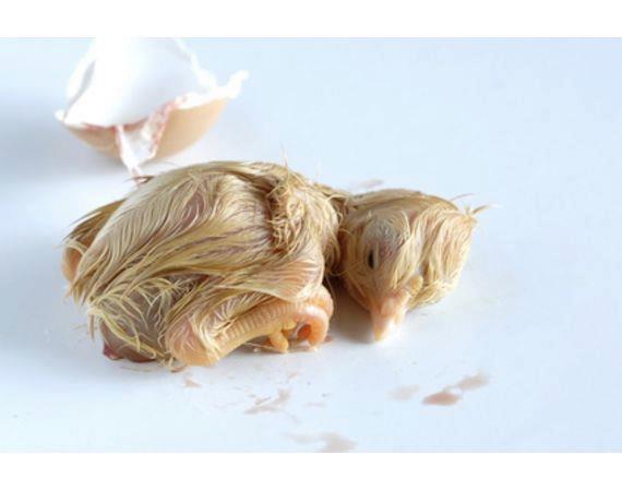 “足球赌注软件APP”书房设计有几个方面营造书房的环境?(图2) 足球赌注软件APP